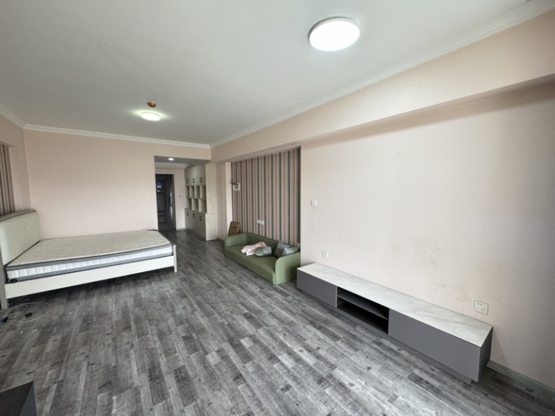 1室1廳1陽臺 溪畔麗景客廳