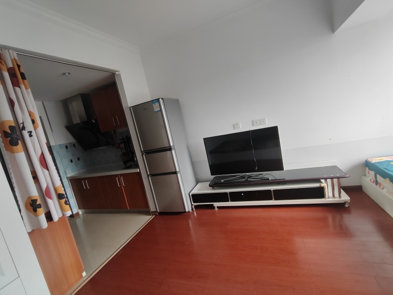 1室1廳1陽臺 云安陽光城客廳