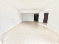 3室2廳1陽臺 金泰上苑客廳