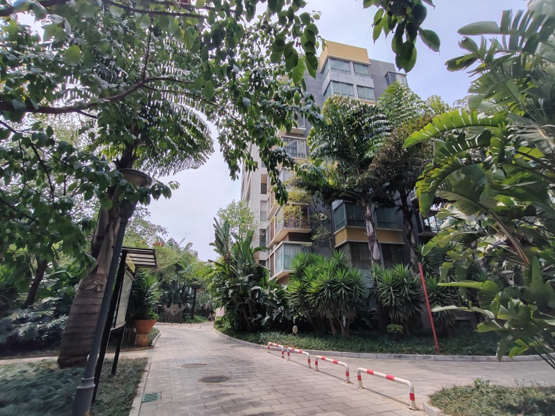 银海畅园东区其他