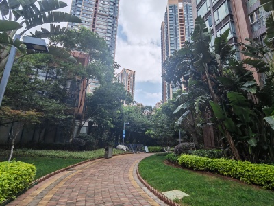 2室2廳1陽臺 海倫國際海倫區(qū)