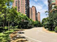 3室2廳1陽(yáng)臺(tái) 第三城丹槿園其他