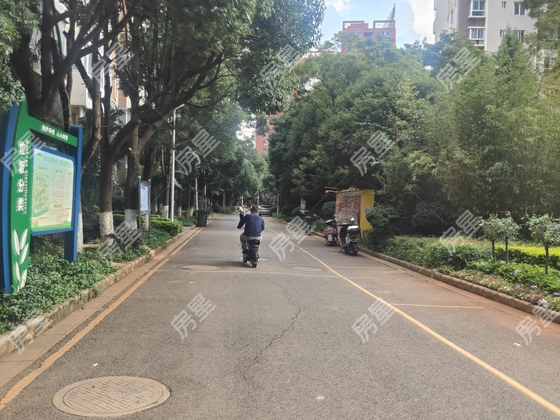 东泰花园一区其他