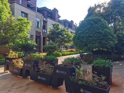 5室3廳3陽臺 招商海公館