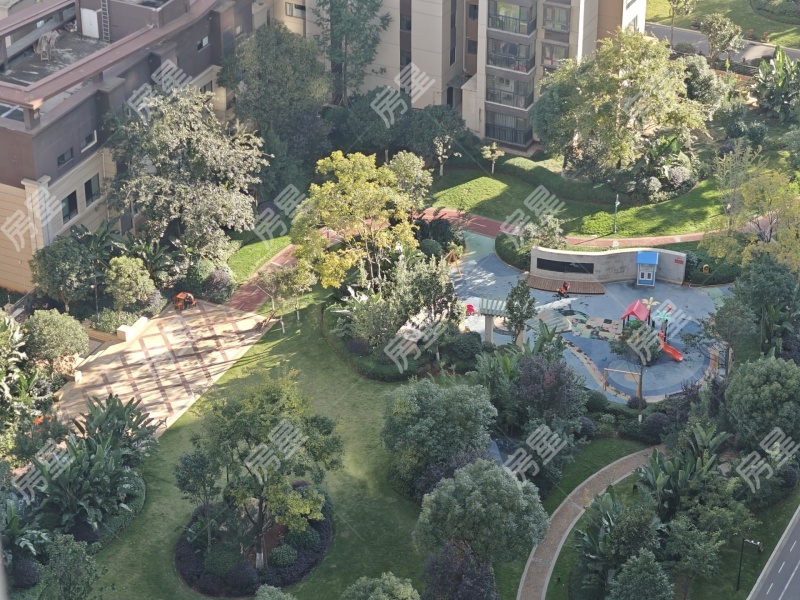 3室2廳1陽臺 金科陽光里其他