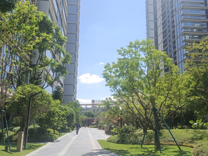 4室2厅1阳台 绿城凤起兰庭其他
