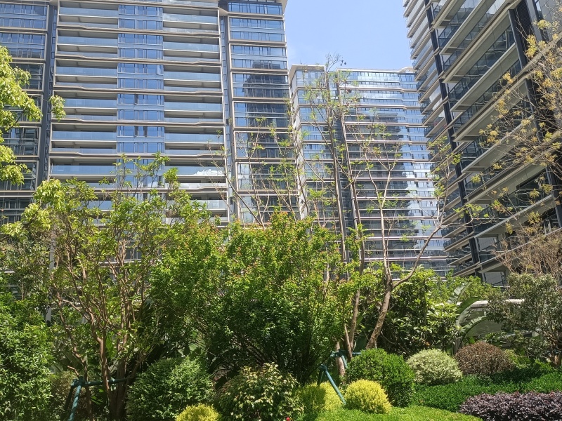 4室2厅1阳台 绿城凤起兰庭其他