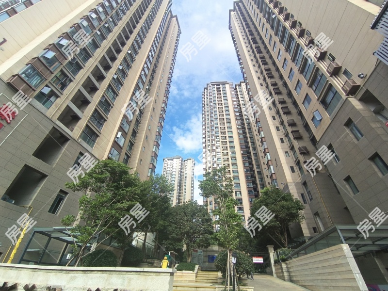 新希望希望汇其他