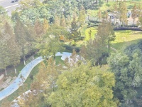 3室2廳1陽臺 金科陽光里其他