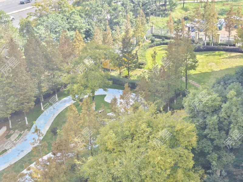 3室2廳1陽臺 金科陽光里其他