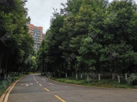 5室2廳2陽臺 新亞洲星云園其他