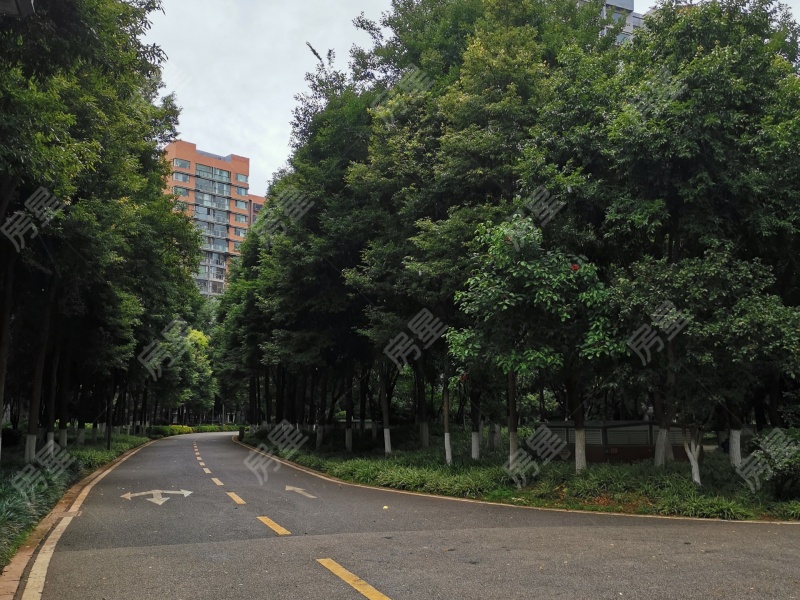 5室2廳2陽臺 新亞洲星云園其他