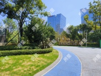 1室1廳1陽臺 新希望觀瀾匯公寓其他