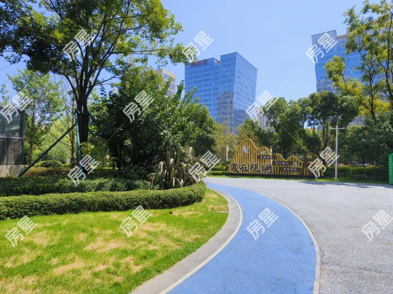 1室1廳1陽臺 新希望觀瀾匯公寓其他