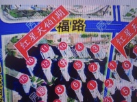 3室2廳2陽臺 紅星天鉑客廳