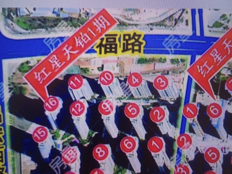 3室2廳2陽臺 紅星天鉑客廳