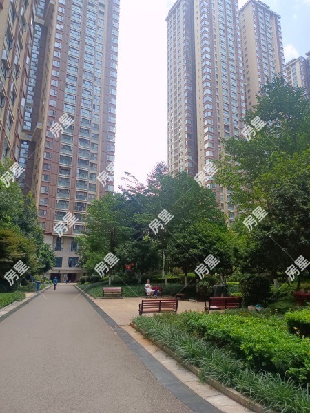 5室2廳1陽臺 新希望希望匯其他