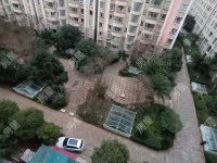 1室1廳1陽臺 華龍人家其他