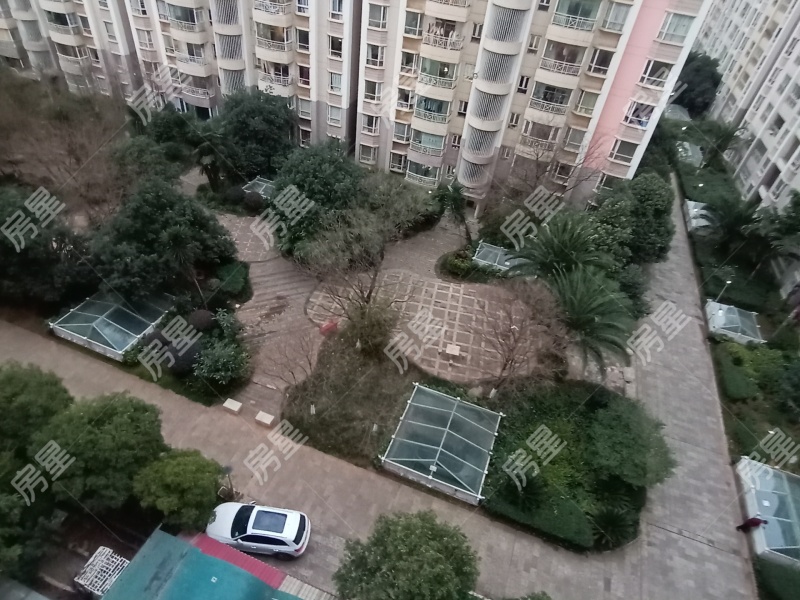 1室1廳1陽臺 華龍人家其他