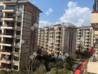 3室2廳2陽臺 碧桂園東園其他