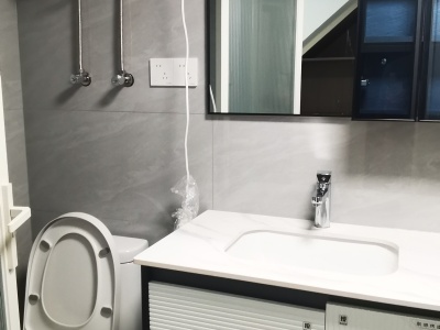 1室1廳1陽臺 金地峯范