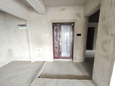 4室2廳 世博生態(tài)城鳴鳳鄰里