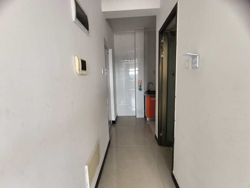 1室1廳1陽臺 南亞未來城門廳