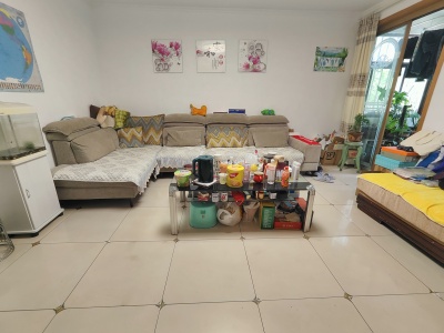 3室2廳1陽臺(tái) 金星小區(qū)客廳