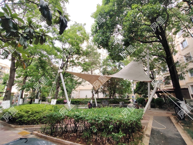 3室2廳2陽臺 金色家園南園其他