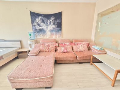 1室1廳1陽(yáng)臺(tái) 時(shí)尚家園