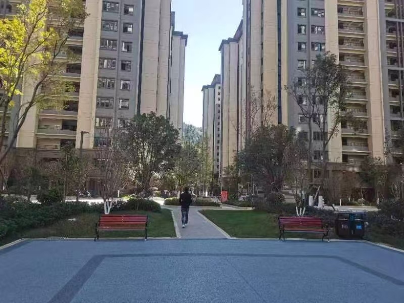 鱼先生的社区其他