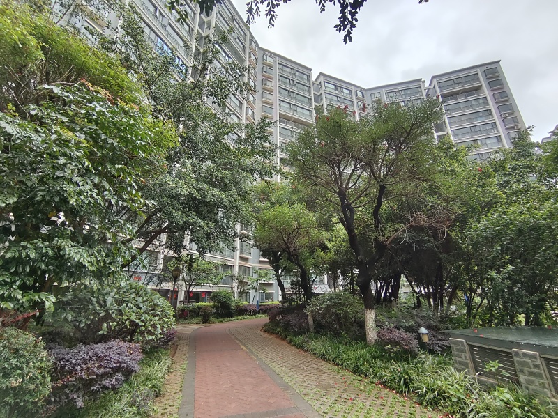 3室2廳2陽(yáng)臺(tái) 東驤神駿二期自家花園