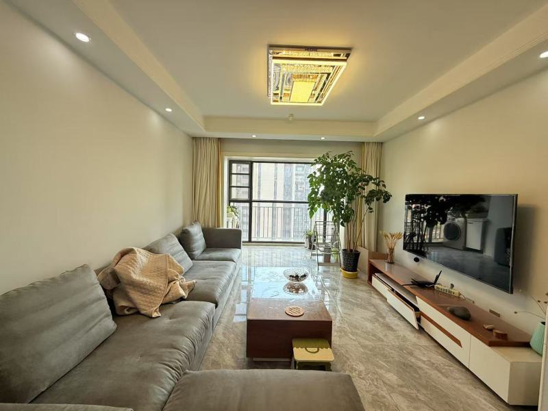 3室2廳1陽臺 金科陽光里客廳