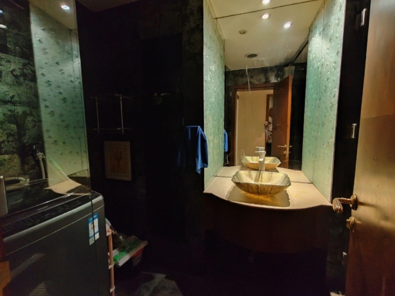 5室2廳3陽臺(tái) 公園道一號別墅衛(wèi)生間