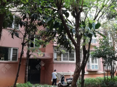 5室2廳1陽(yáng)臺(tái) 五彩點(diǎn)金苑