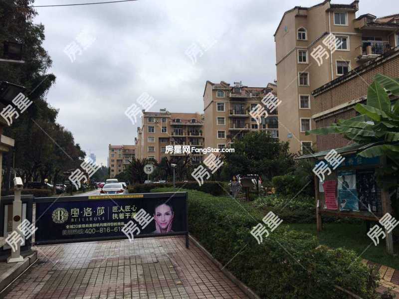 5室2廳1陽臺 錦苑花園小區(qū)平面圖