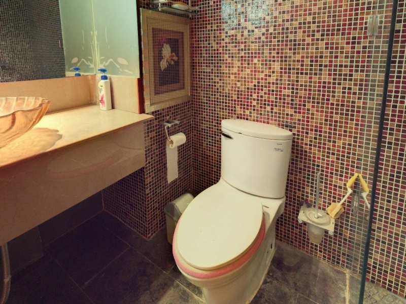 5室2廳3陽臺(tái) 公園道一號別墅衛(wèi)生間