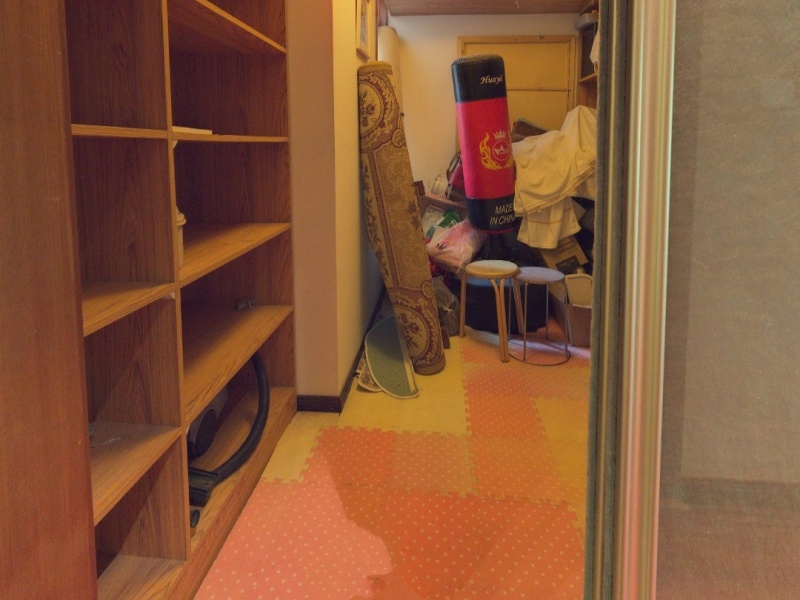 5室2廳3陽臺(tái) 公園道一號別墅其他