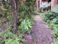 5室2廳3陽臺(tái) 公園道一號別墅自家花園