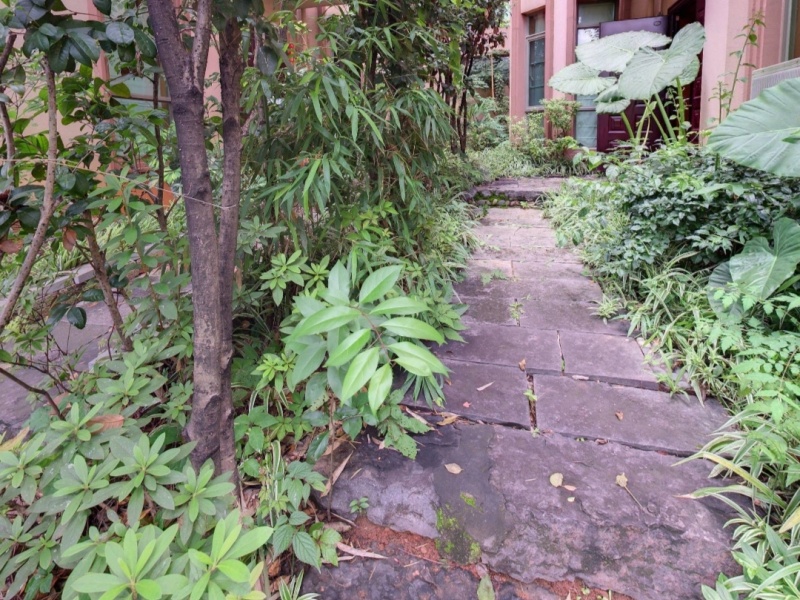 5室2廳3陽臺(tái) 公園道一號別墅自家花園