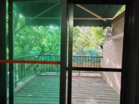 5室2廳3陽臺(tái) 公園道一號別墅陽臺(tái)