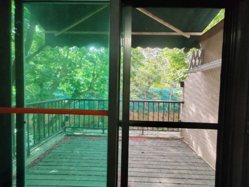 5室2廳3陽臺(tái) 公園道一號別墅陽臺(tái)