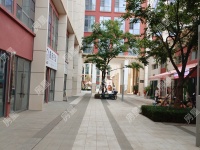 1室1廳 龍湖聽(tīng)藍(lán)半島公寓其他