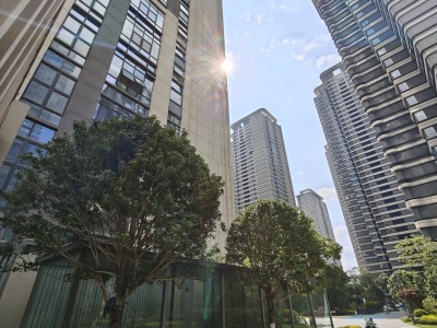 1室1廳1陽臺 中海寰宇天下天境