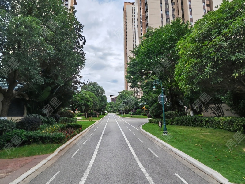 3室2廳2陽臺 金科陽光里其他