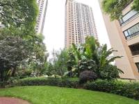 3室2廳2陽臺 金科陽光里其他