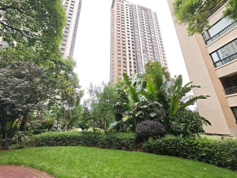 3室2廳2陽臺 金科陽光里其他