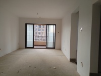 3室2廳2陽臺 金科陽光里客廳