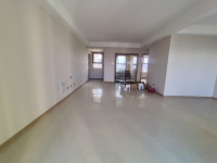 3室2廳2陽臺(tái) 大華公園天下時(shí)光園客廳