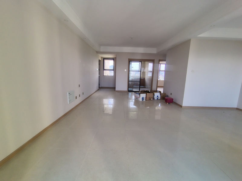 3室2廳2陽臺(tái) 大華公園天下時(shí)光園客廳